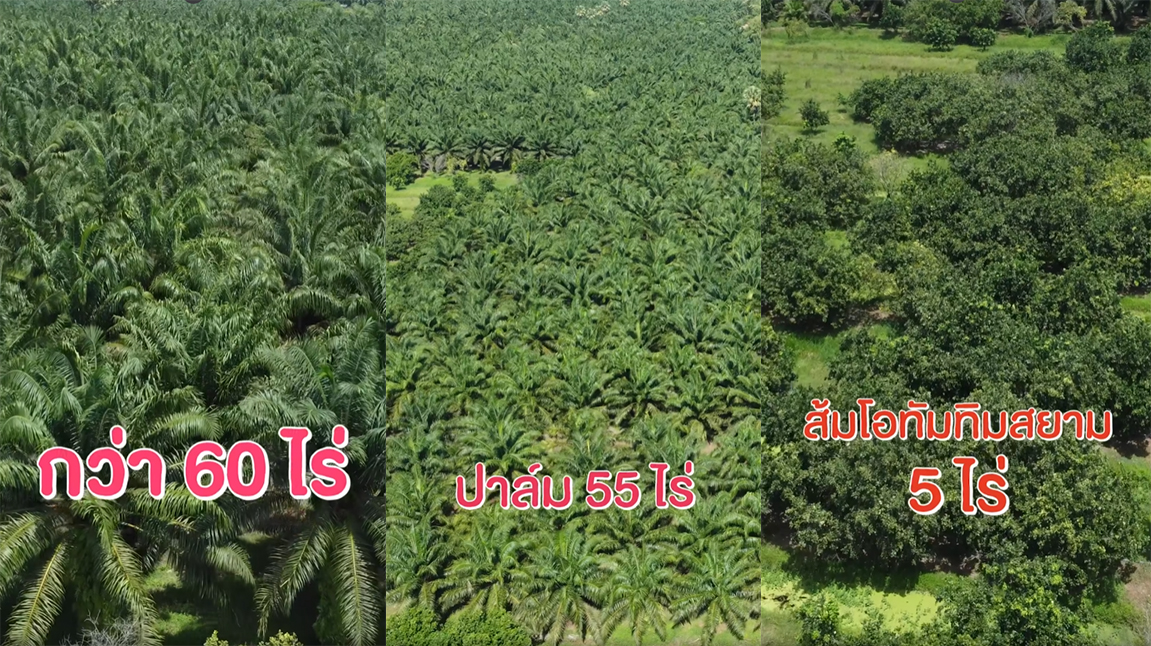 เจมส์ เรืองศักดิ์