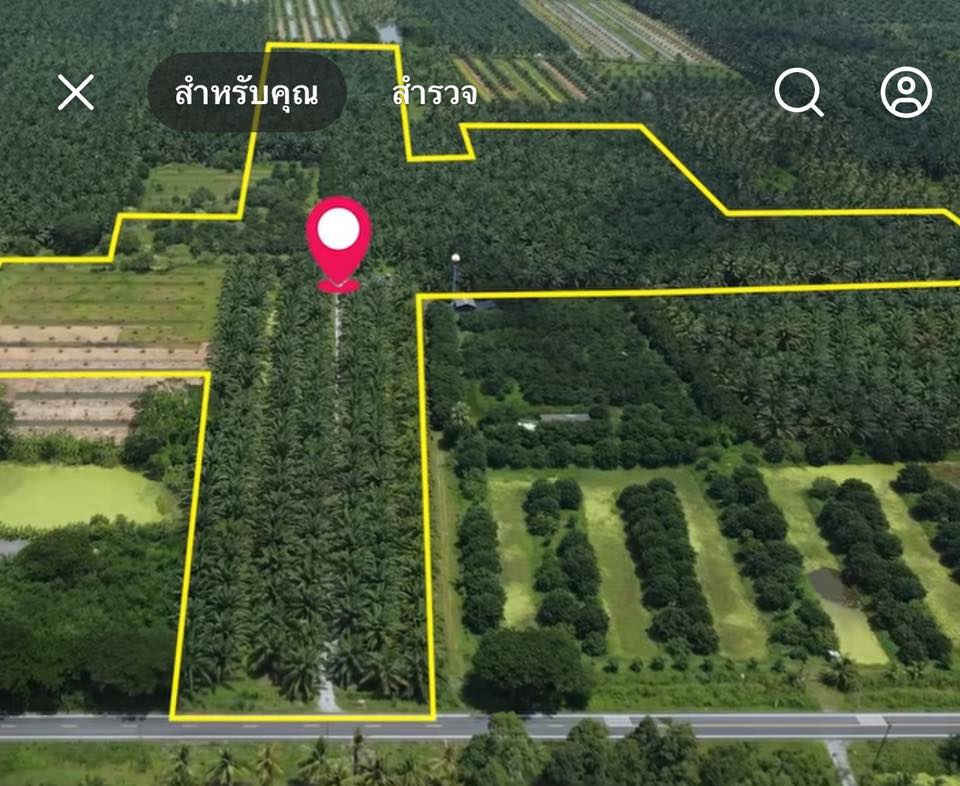 เจมส์ เรืองศักดิ์