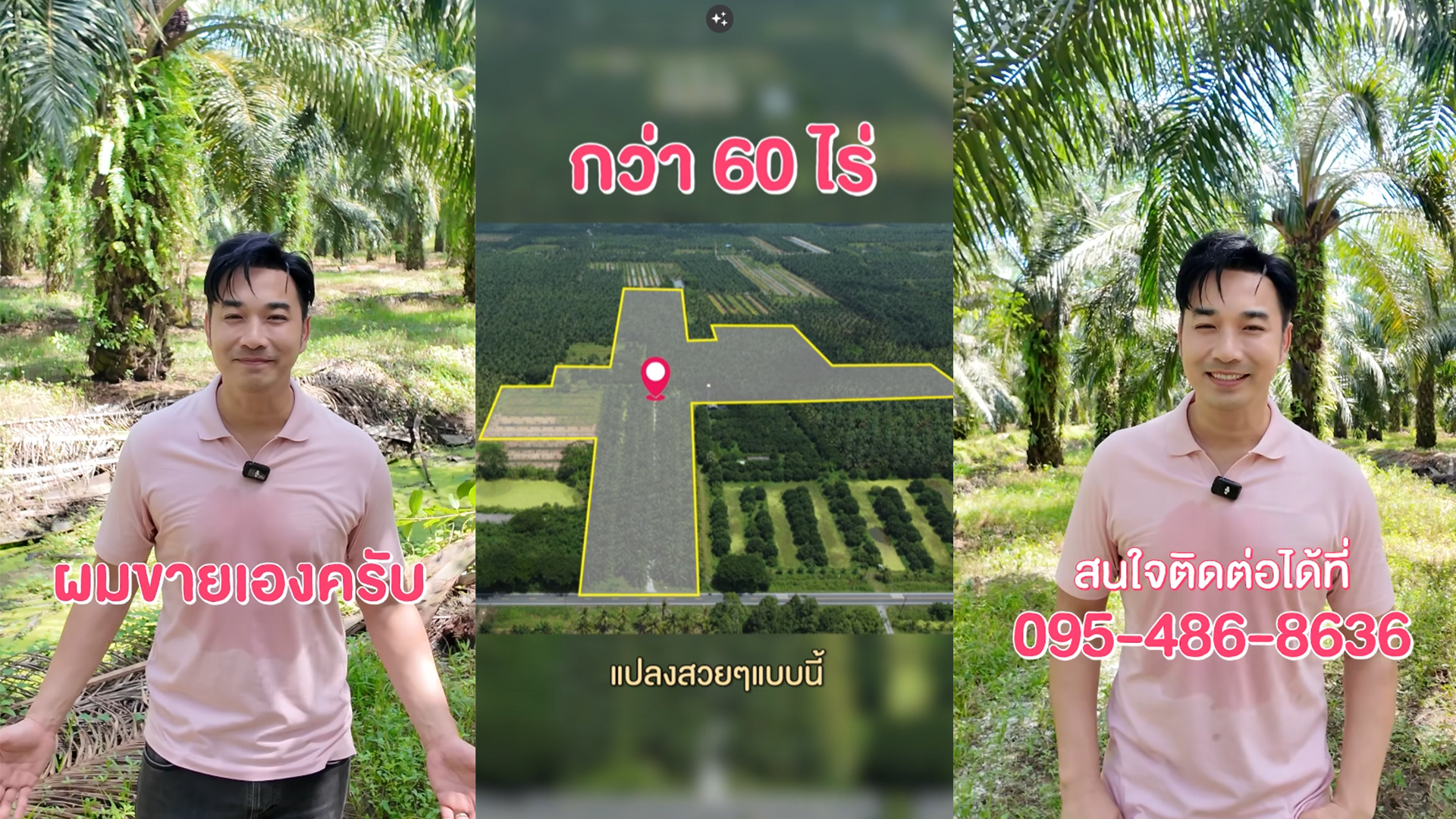 เจมส์ เรืองศักดิ์