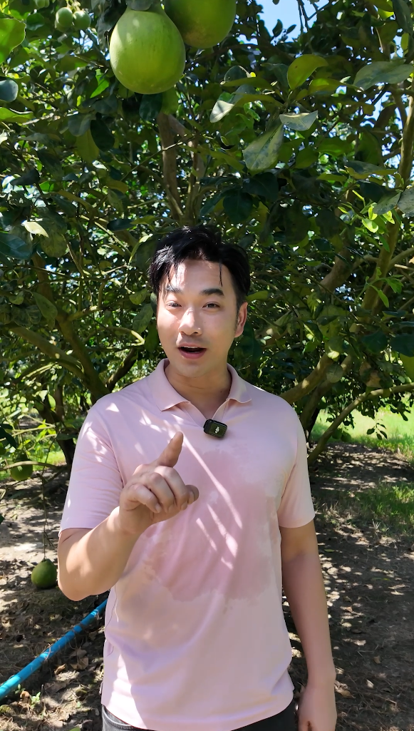 เจมส์ เรืองศักดิ์