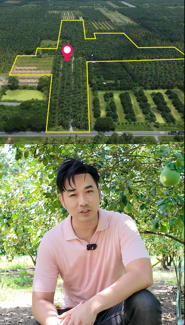 เจมส์ เรืองศักดิ์