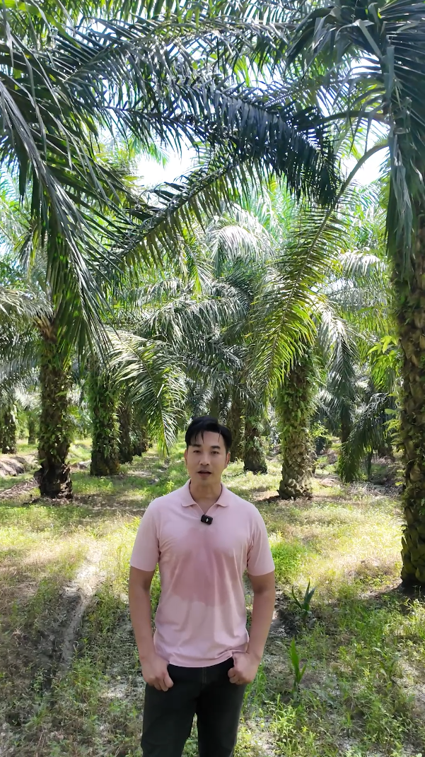 เจมส์ เรืองศักดิ์