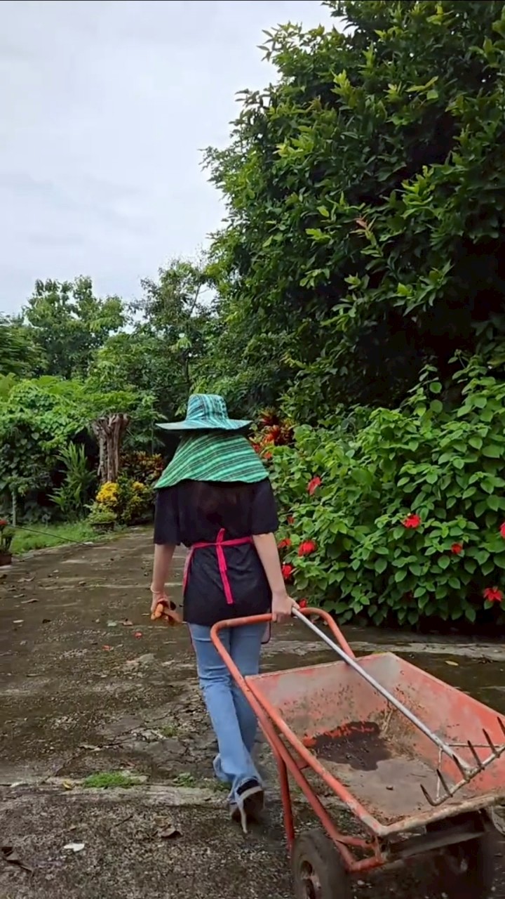 แจ็คกี้ ชาเคอลีน