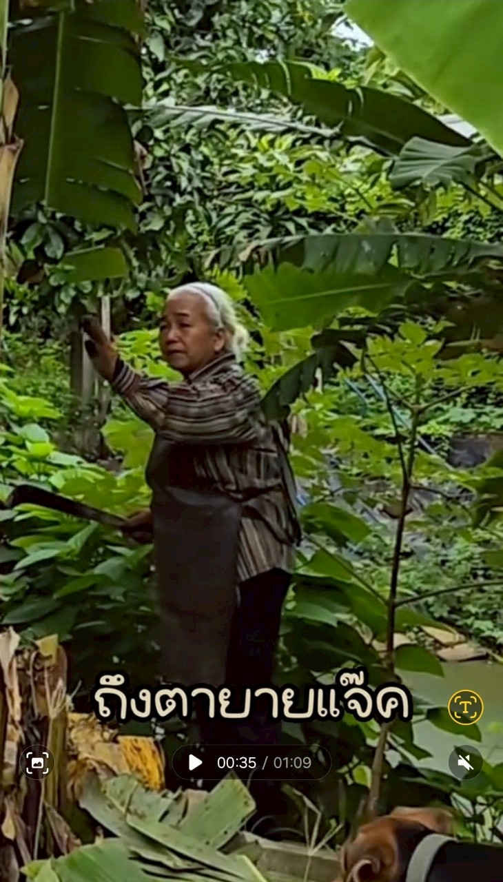 แจ็คกี้ ชาเคอลีน