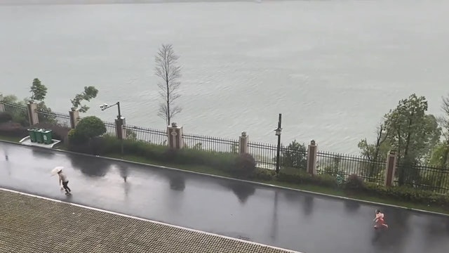 เด็กหญิงถูกพายุพัด แม่เร่งเดินหนี