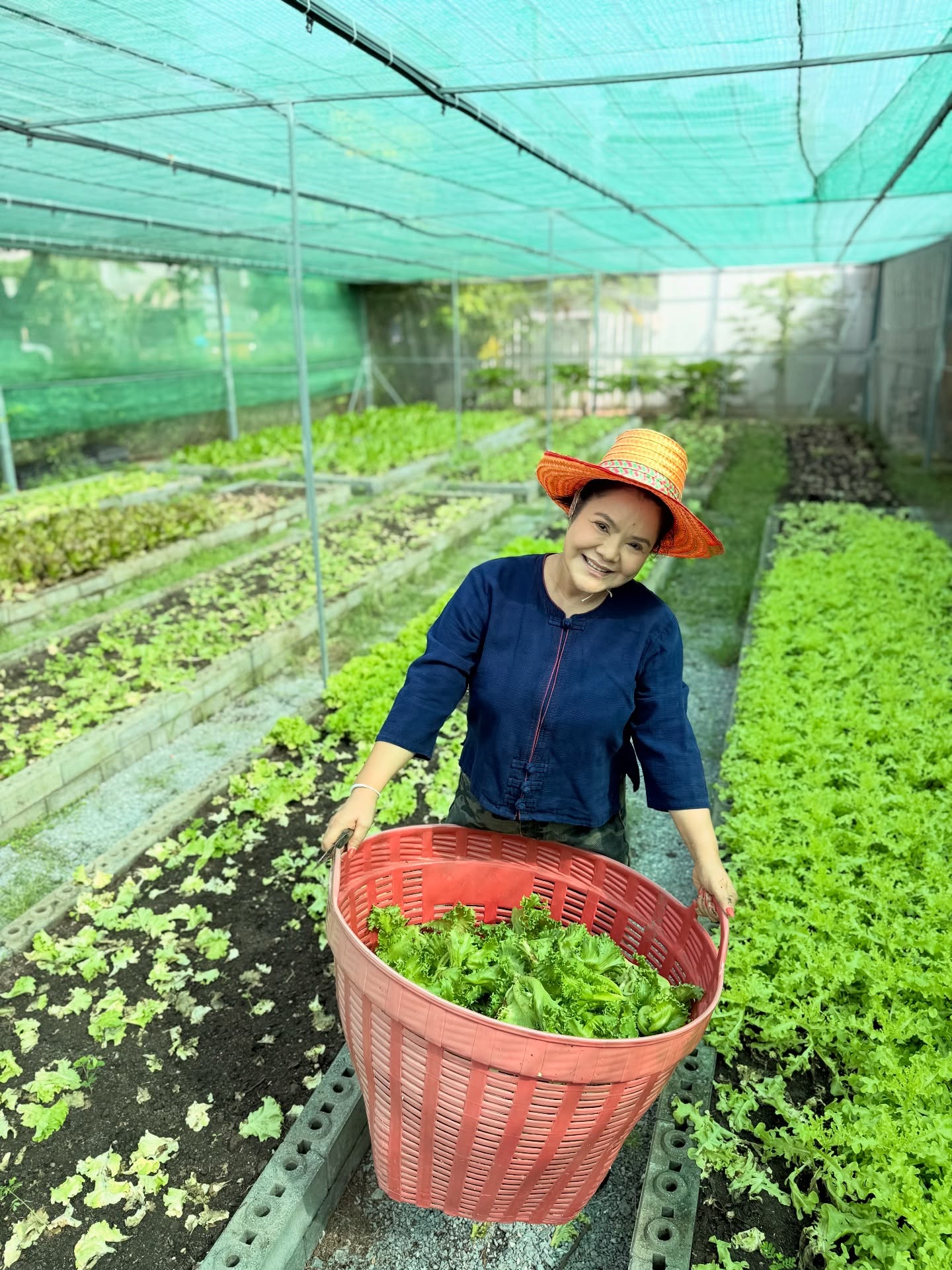 ฮาย อาภาพร