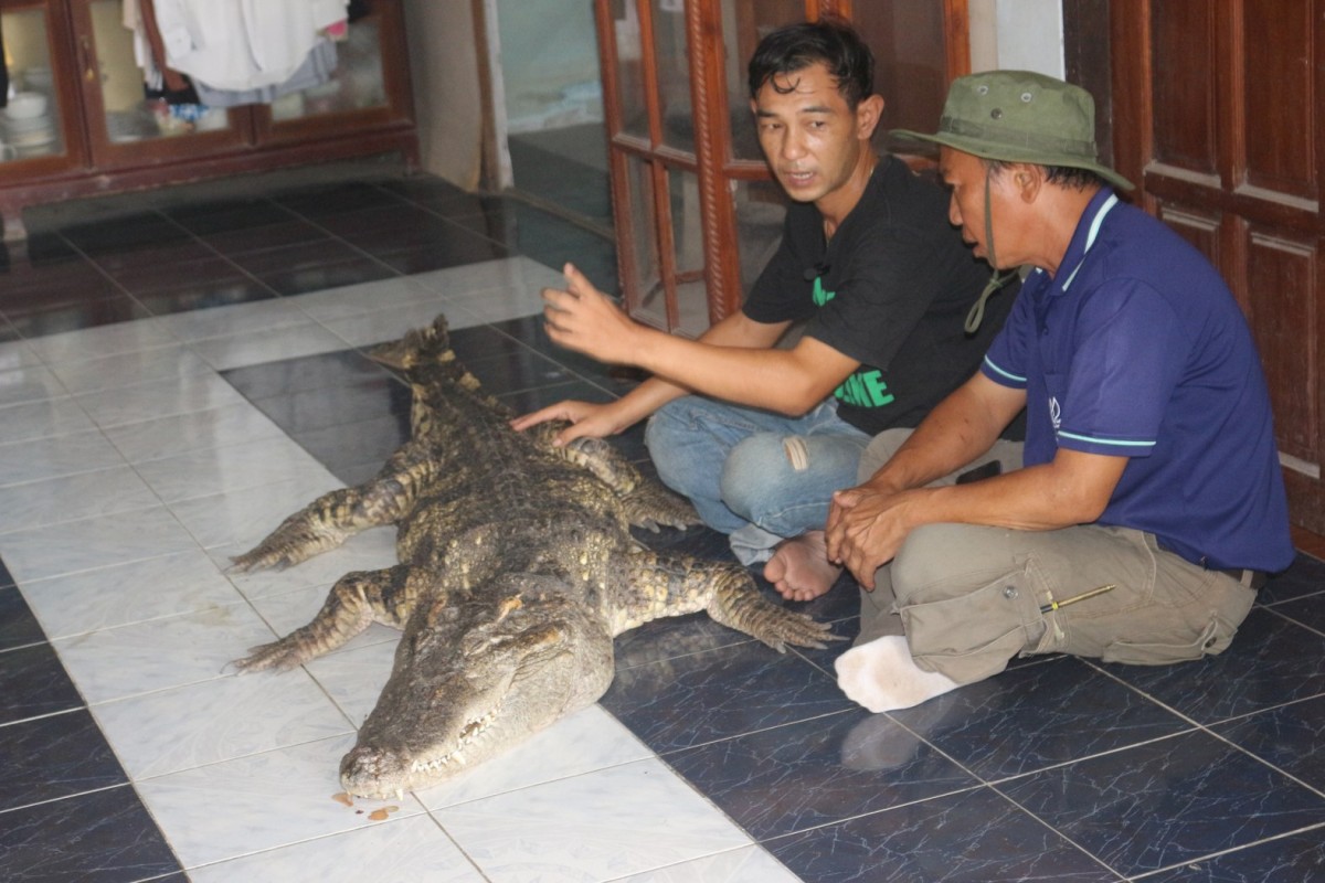 กรรณิการ์/พิษณุโลก/พิษณุโลก ปิดตำนาน ไอ้ทอง จระเข้เฝ้าบ้าน 30 ปี เจ้าของร่ำไห้ เตรียมสต๊าฟร่างเก็บไว้เคียงข้างตลอดไป