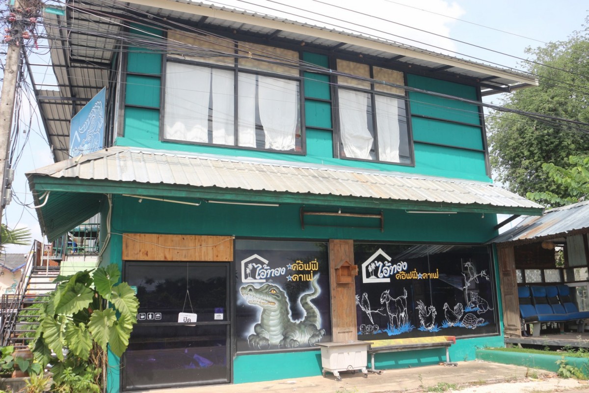 กรรณิการ์/พิษณุโลก/พิษณุโลก ปิดตำนาน ไอ้ทอง จระเข้เฝ้าบ้าน 30 ปี เจ้าของร่ำไห้ เตรียมสต๊าฟร่างเก็บไว้เคียงข้างตลอดไป