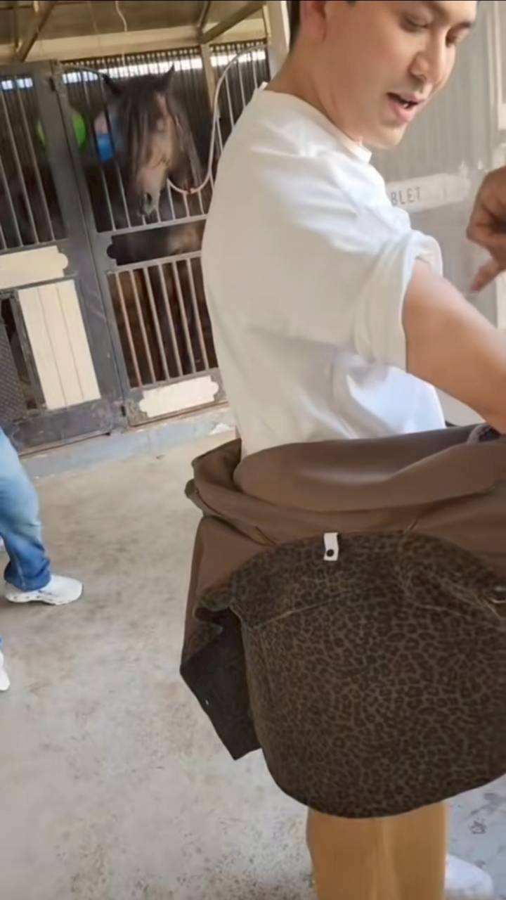 ป๋อ ณัฐวุฒิ