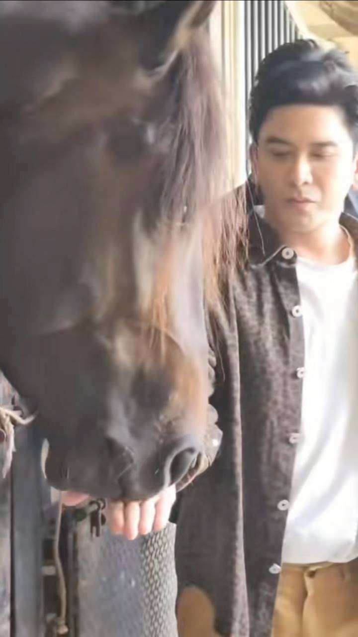 ป๋อ ณัฐวุฒิ