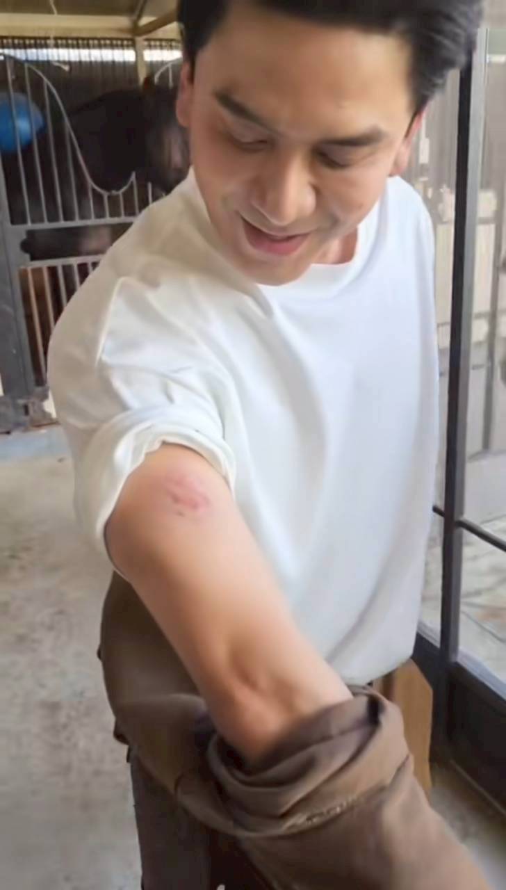 ป๋อ ณัฐวุฒิ