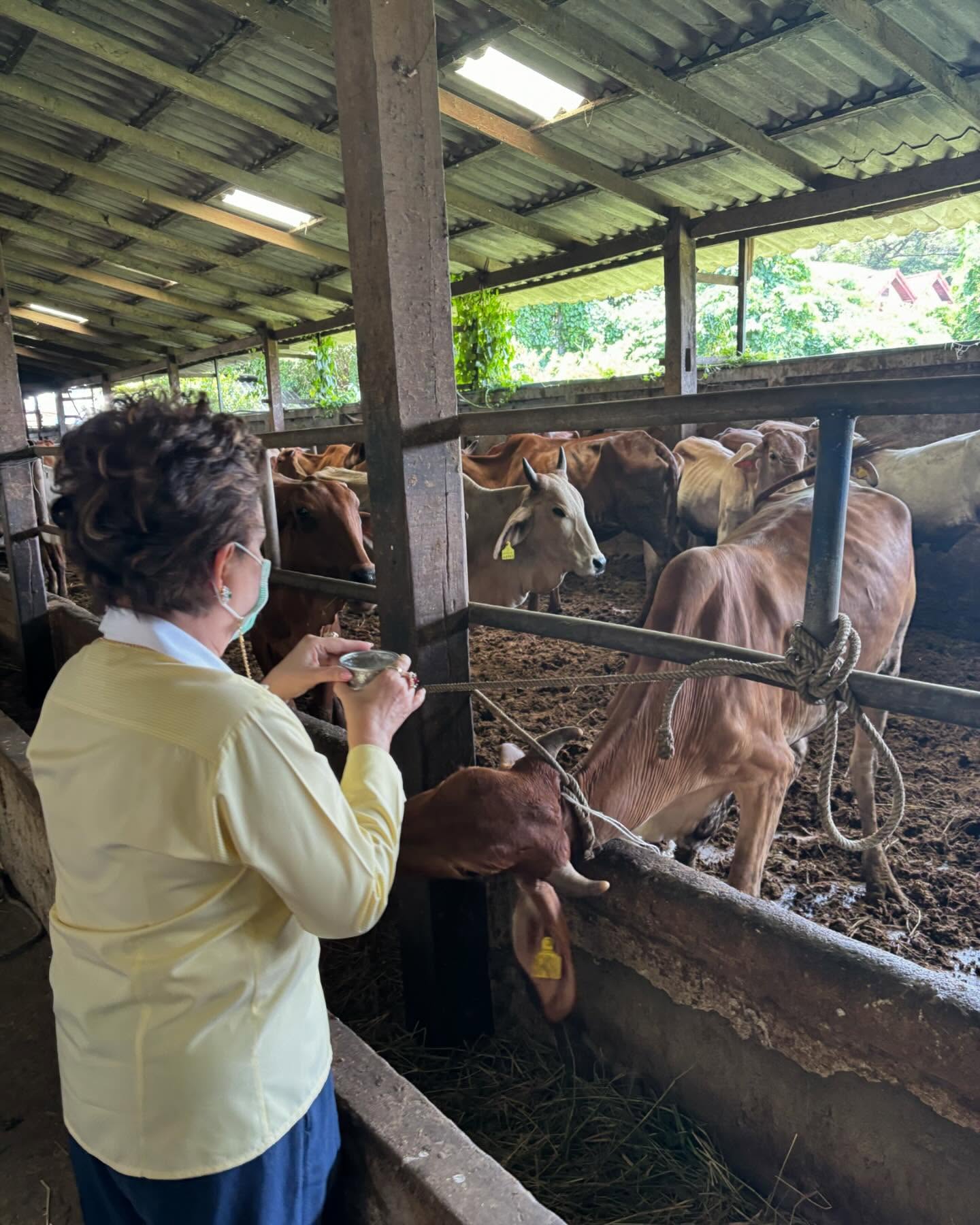 คุณย่าอุไรวรรณ