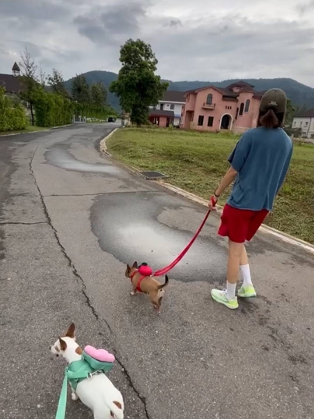 โทนี่ แก้ว