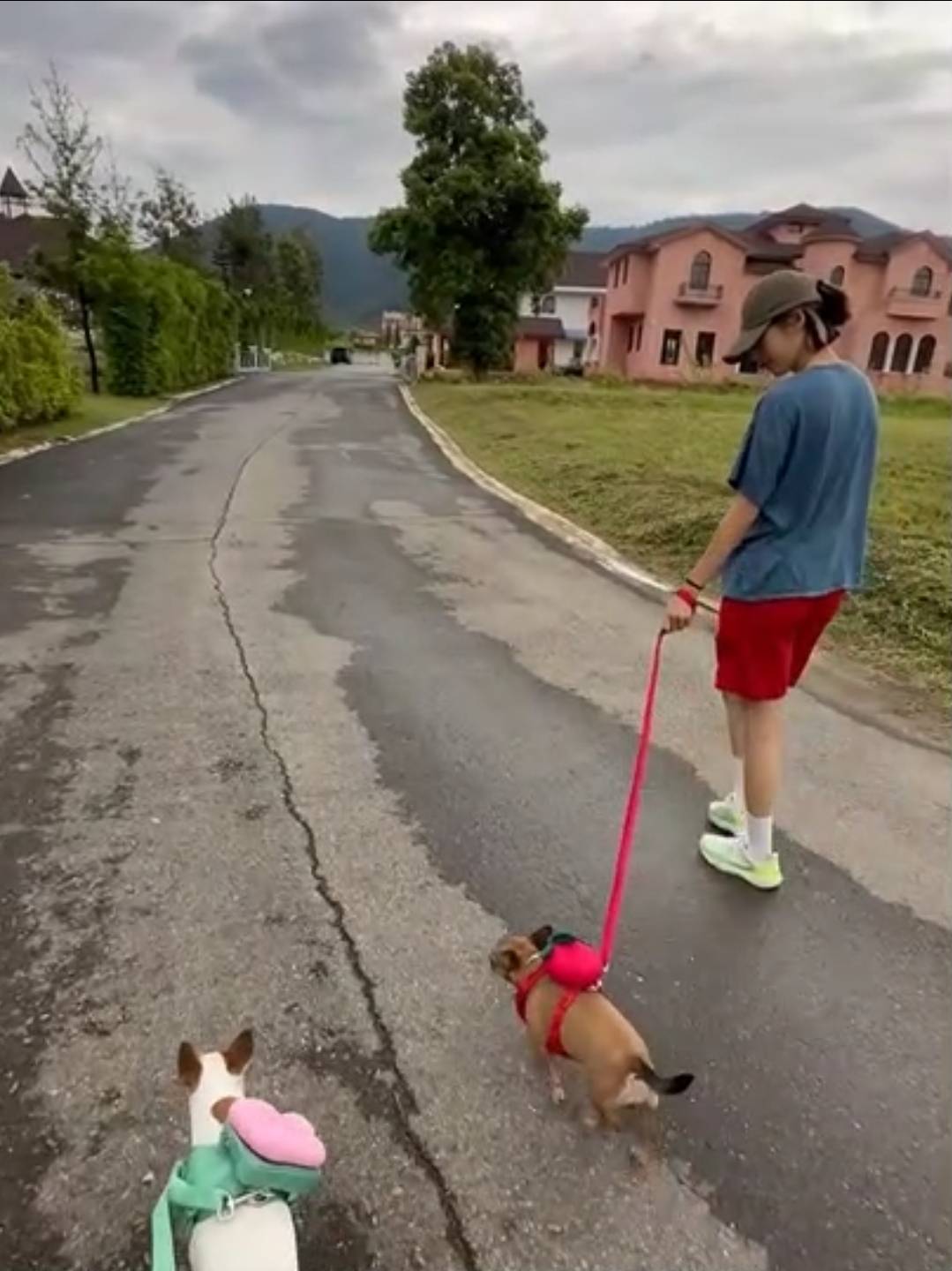 โทนี่ แก้ว