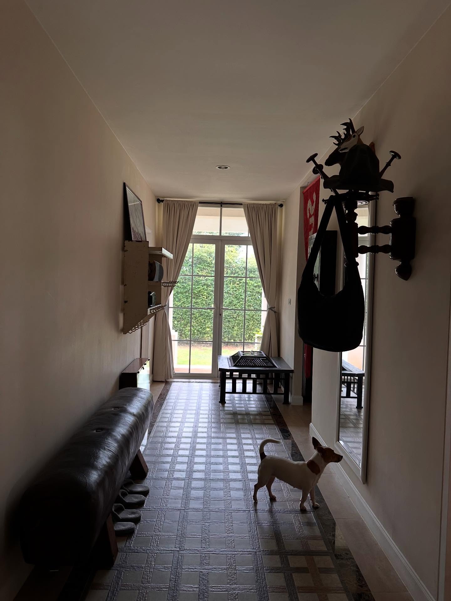 โทนี่ แก้ว