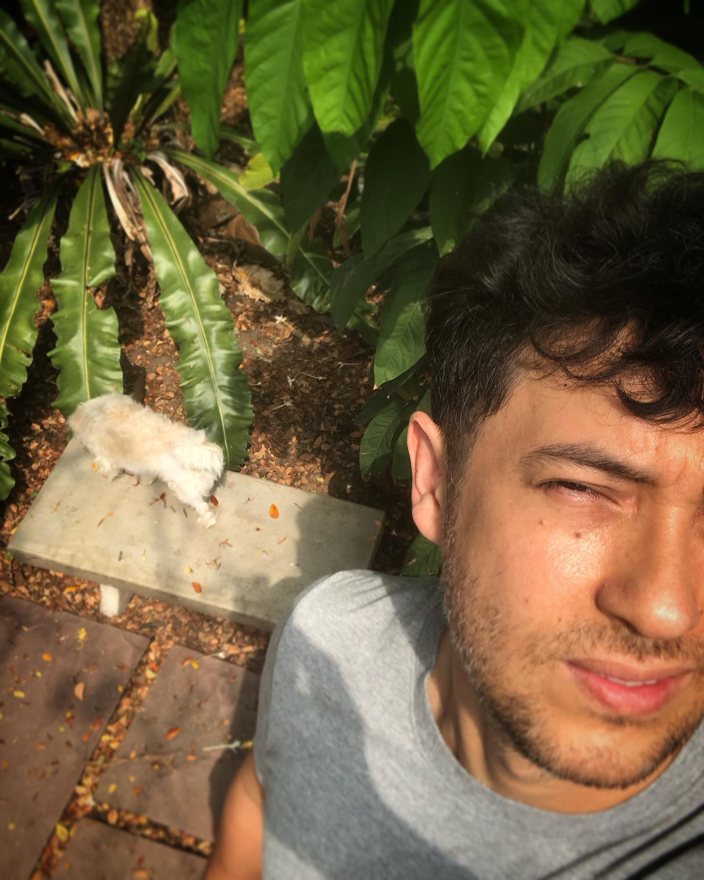 แอนดริว เกร้กสัน