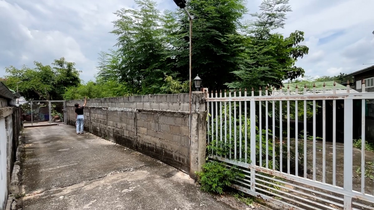 680824ขอนแก่น พบแล้วบ้านพระอลงกต กลับบ้านแจกเงินทุกปี