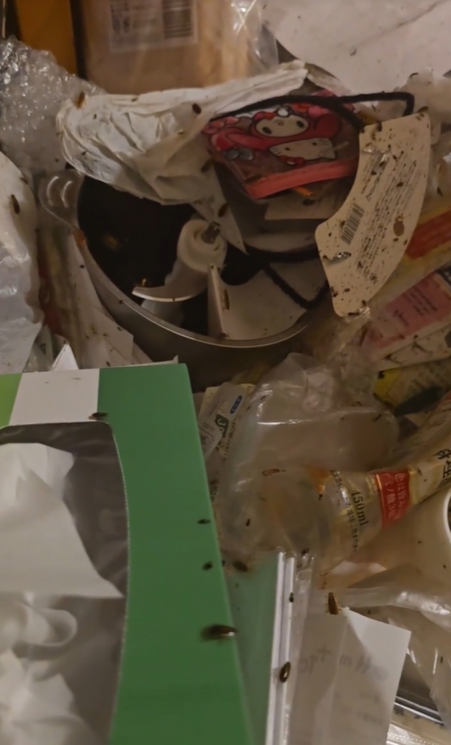 TikToker ญี่ปุ่น ค้างค่าเช่า-ห้องเต็มแมลงสาบ