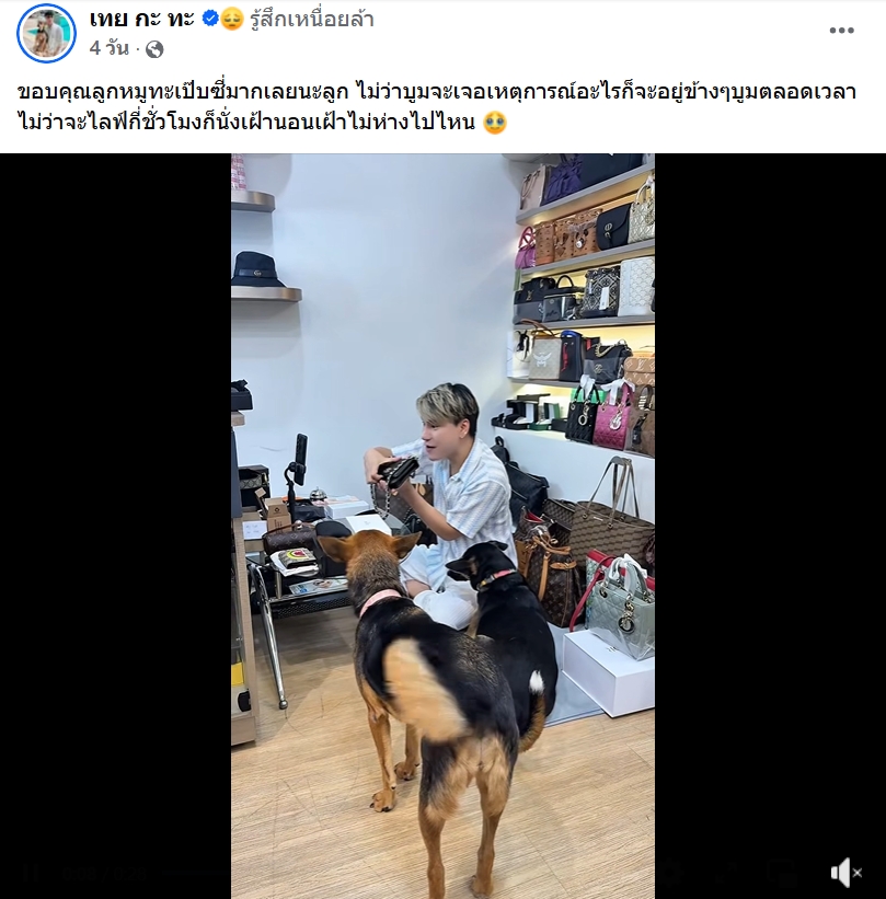 บูม หมูทะ