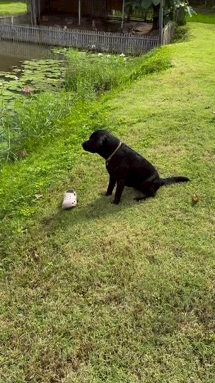 แอน ทองประสม