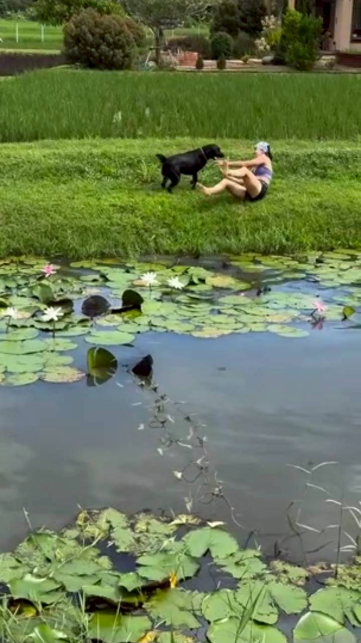 แอน ทองประสม