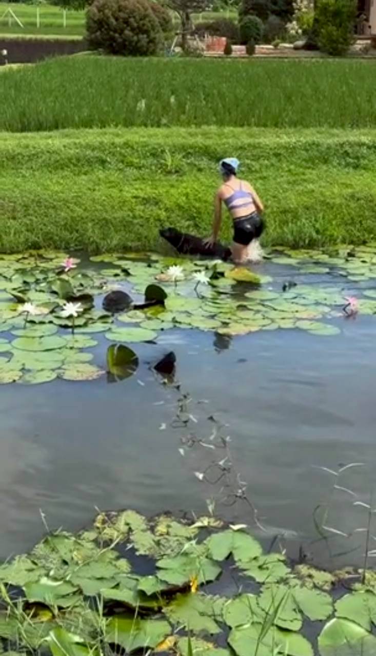 แอน ทองประสม