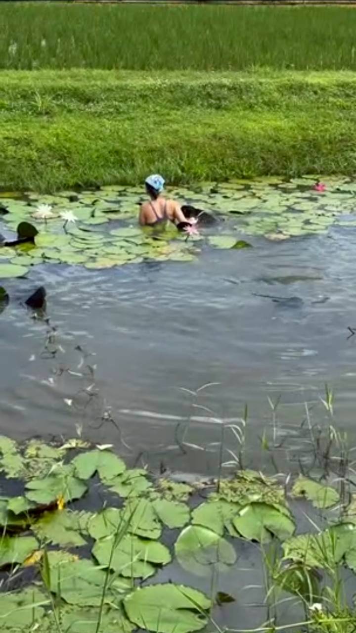 แอน ทองประสม