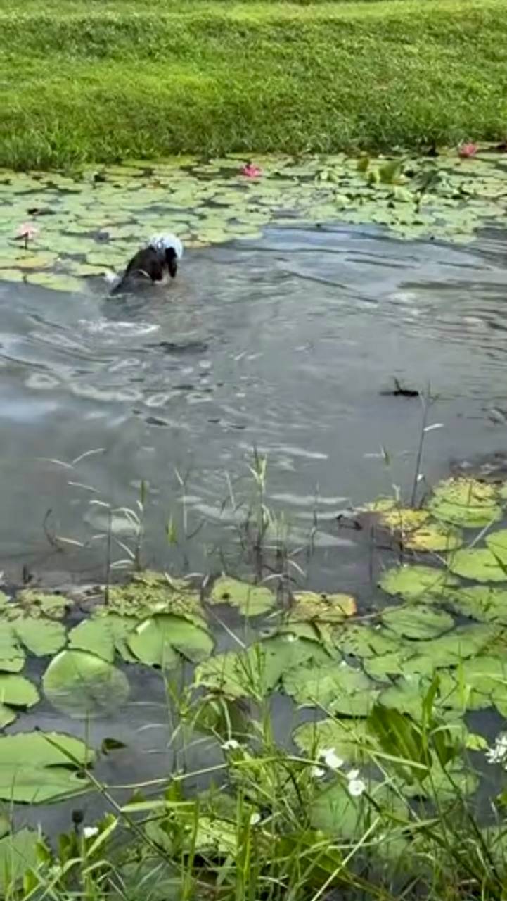 แอน ทองประสม