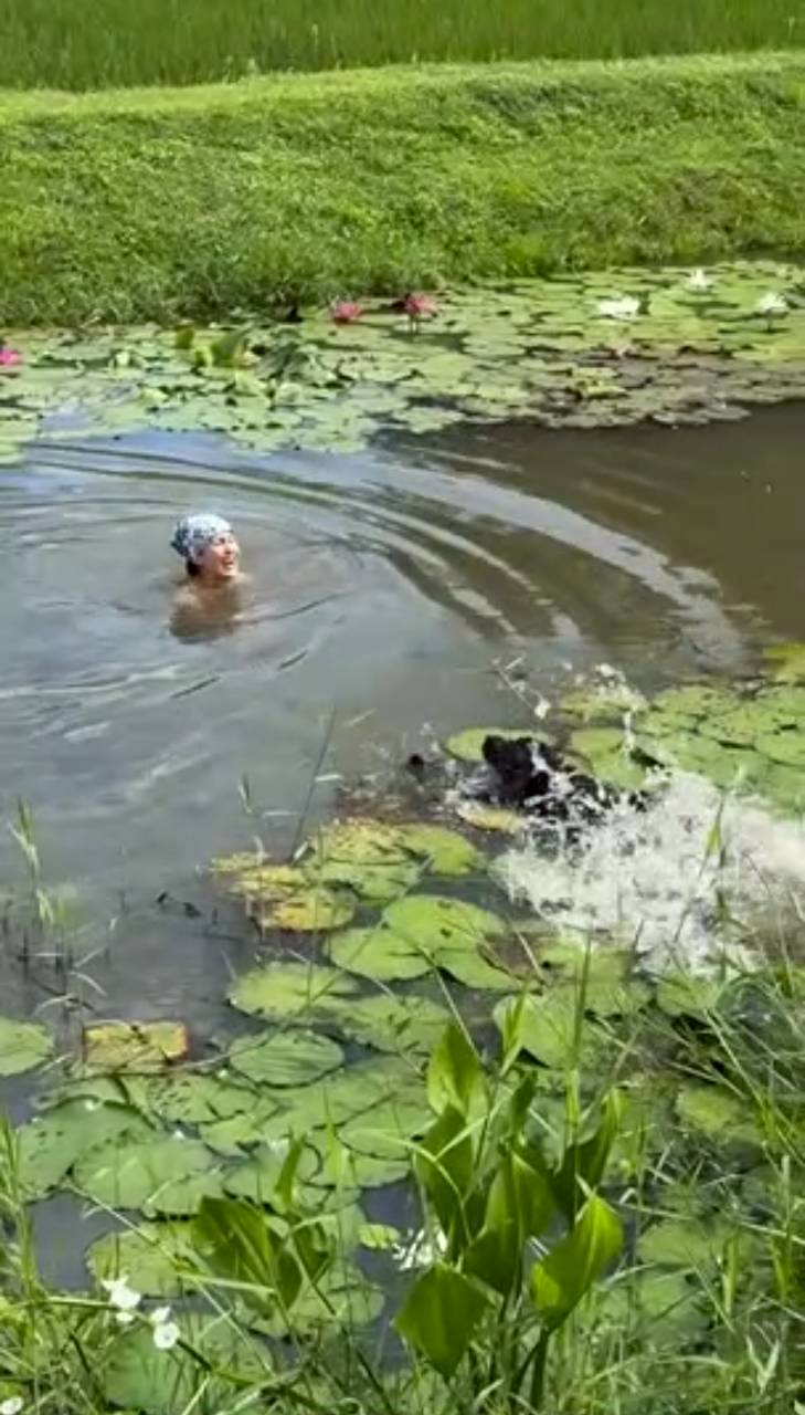 แอน ทองประสม