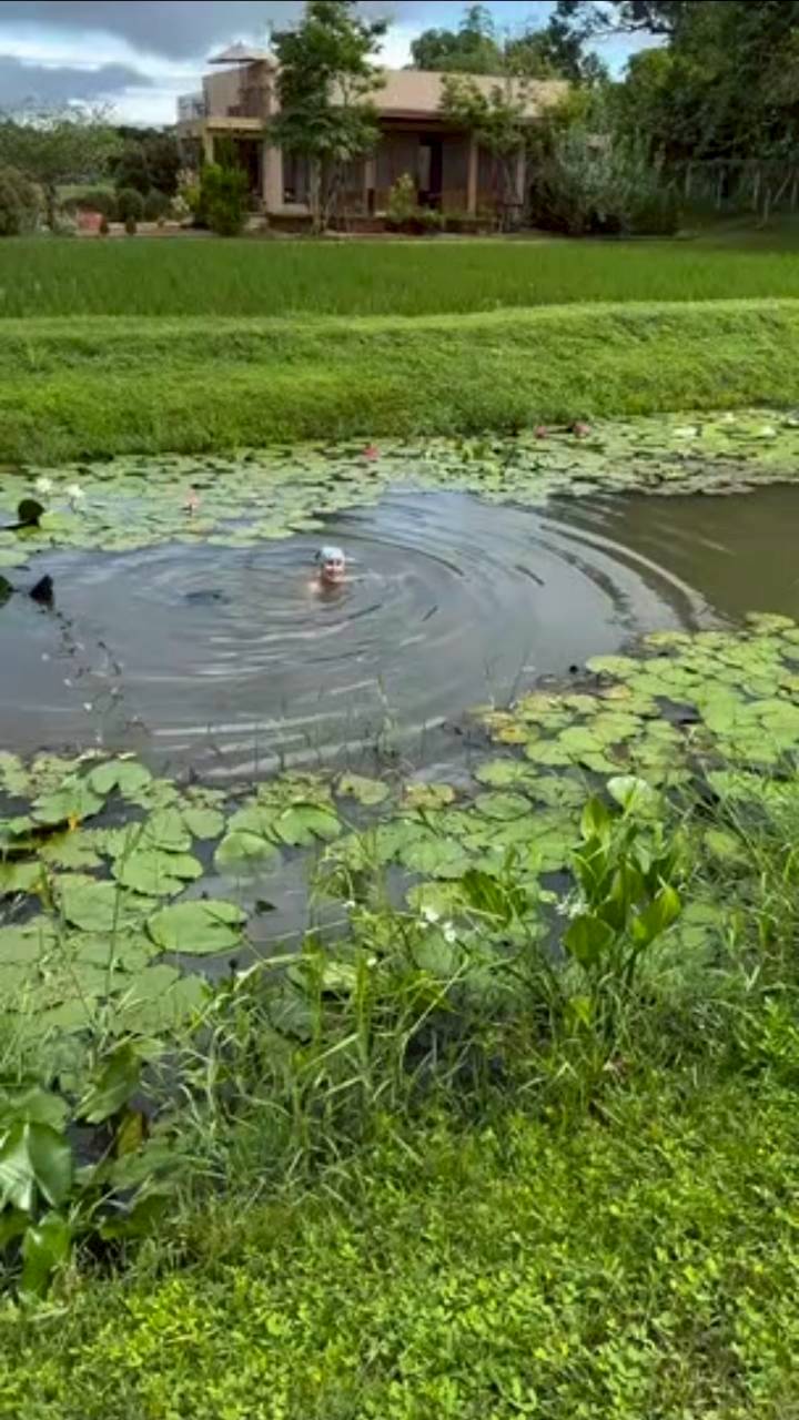 แอน ทองประสม