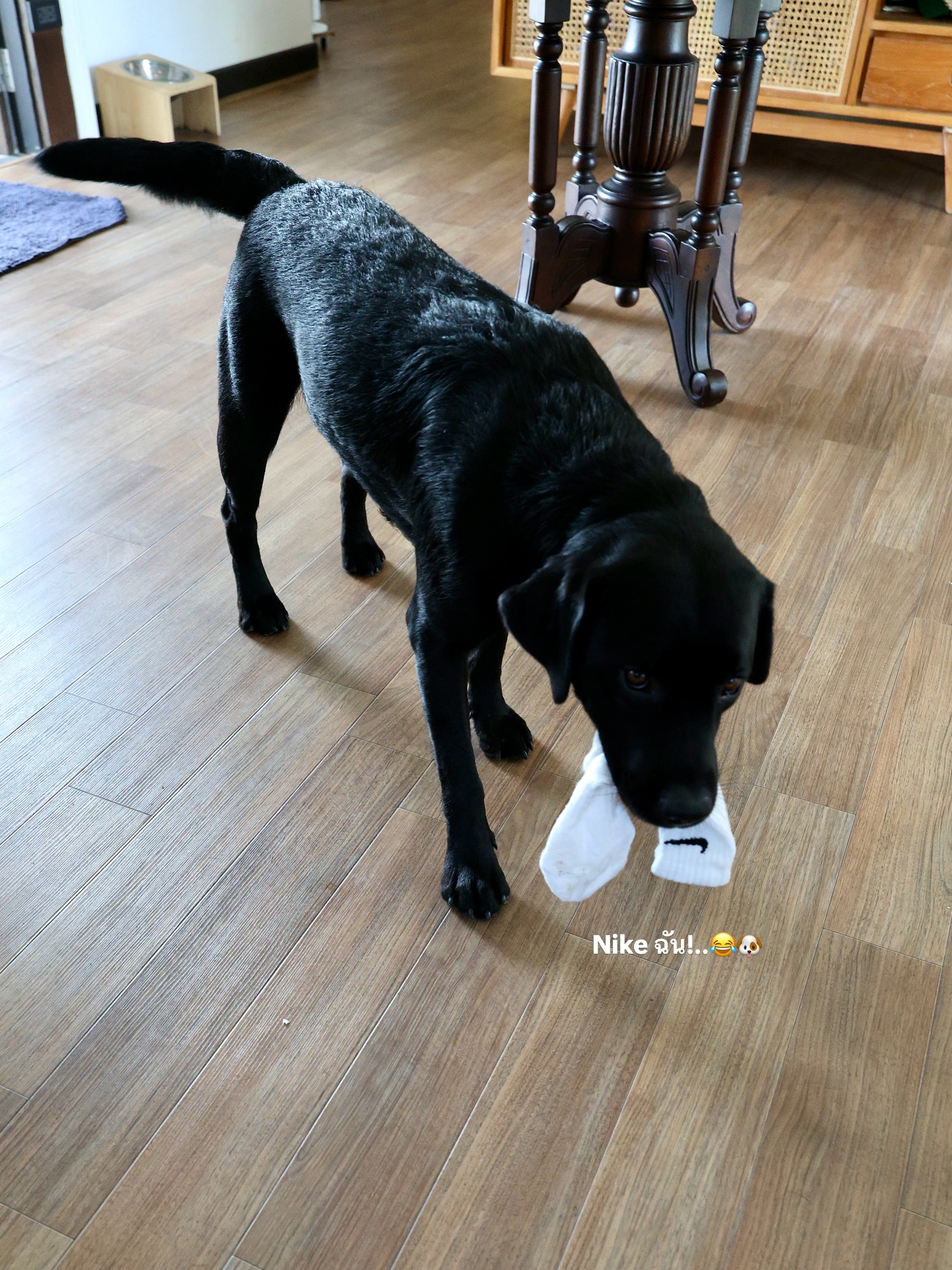 แอน ทองประสม