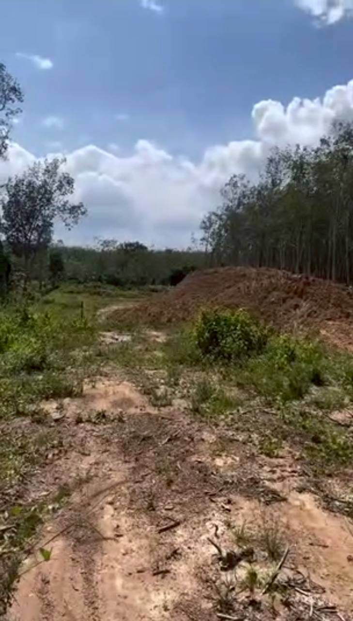 เคน ภูภูมิ