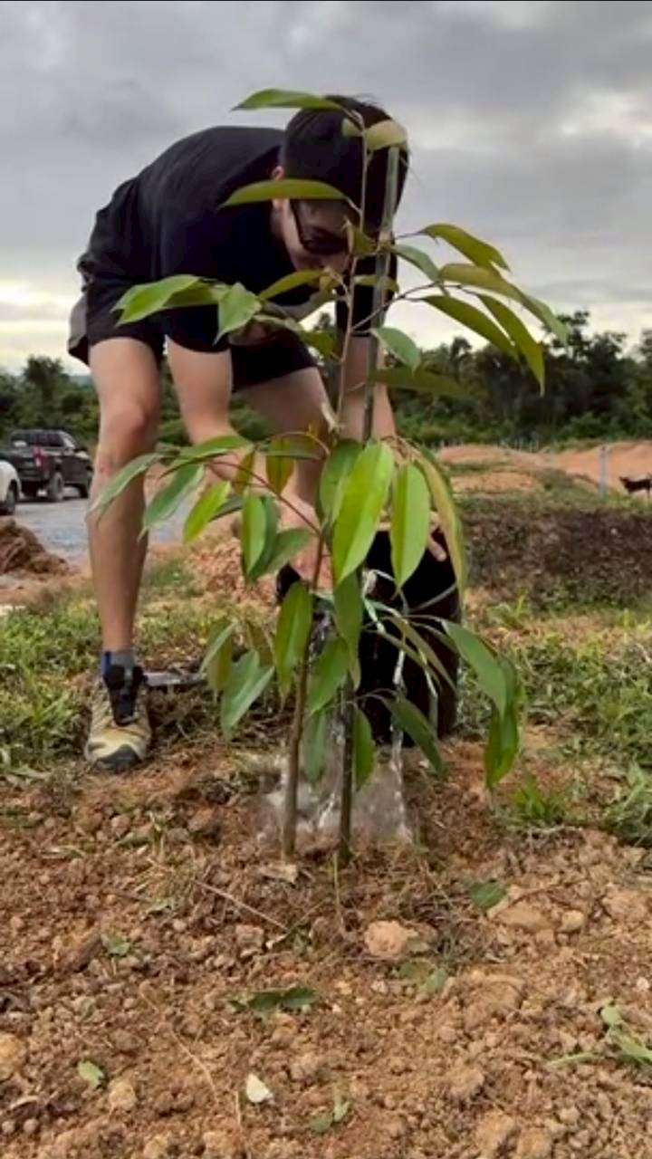 เคน ภูภูมิ