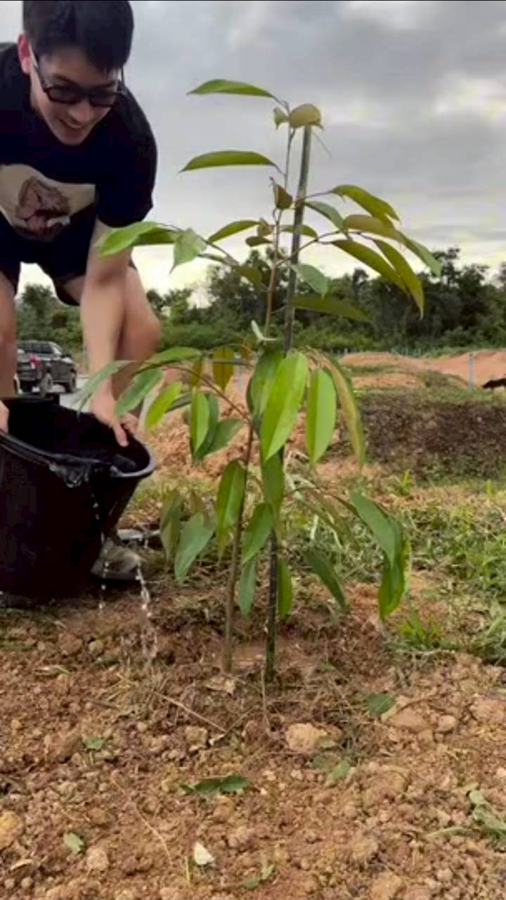 เคน ภูภูมิ