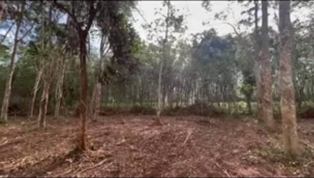 เคน ภูภูมิ