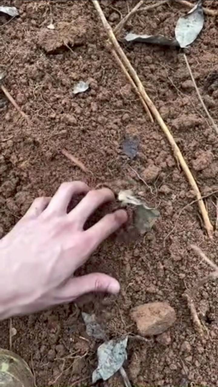 เคน ภูภูมิ