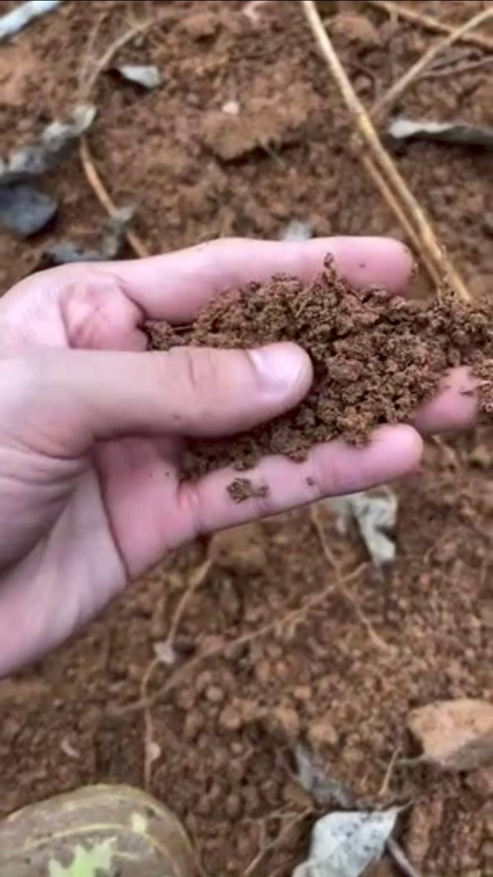 เคน ภูภูมิ