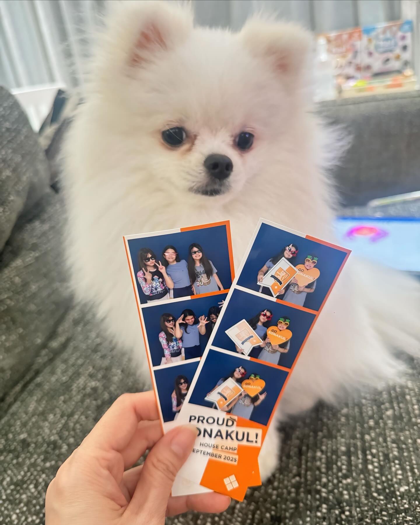 น้องมายู