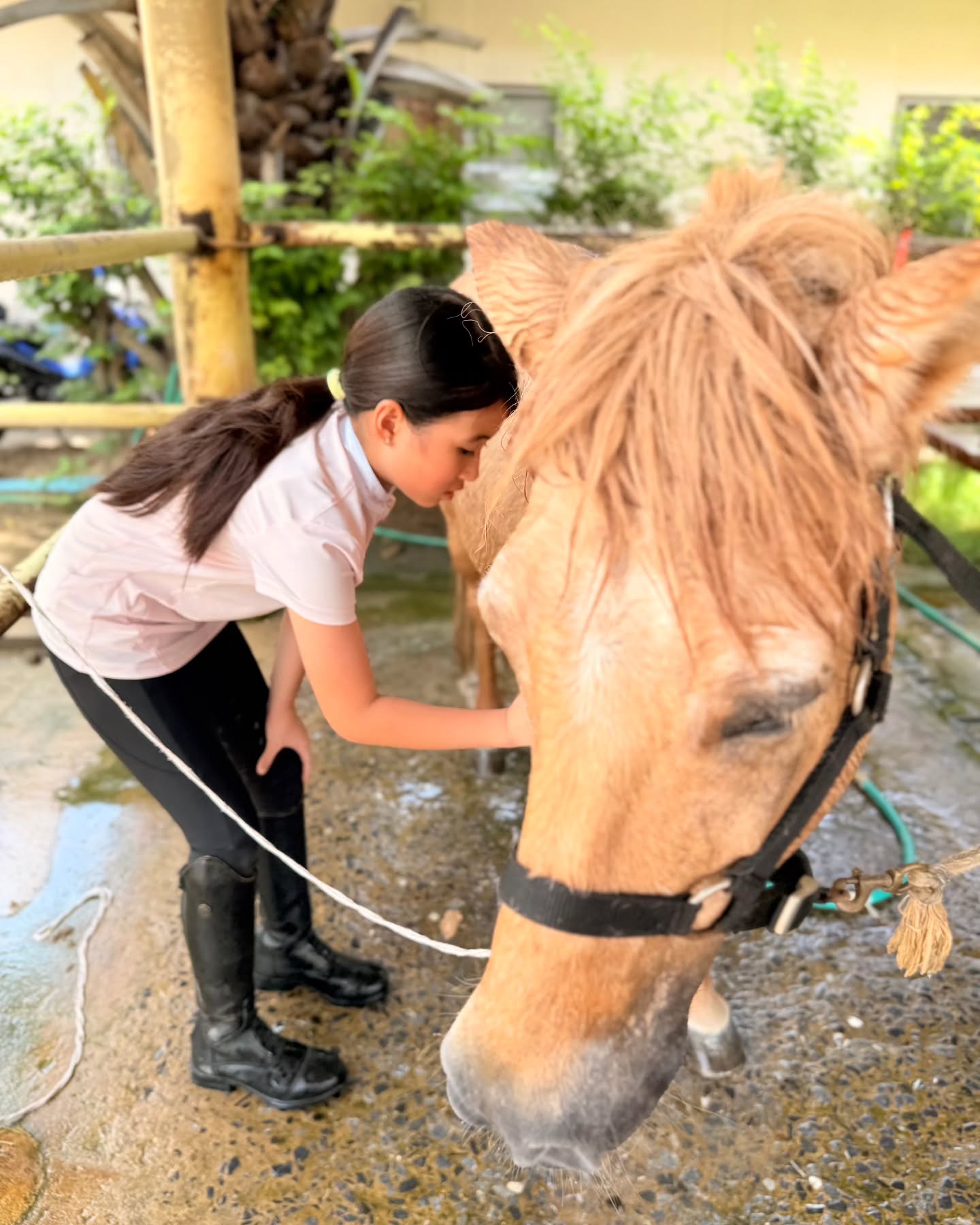 น้องมายู