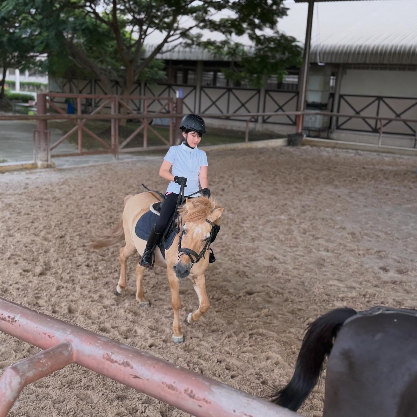 น้องมายู