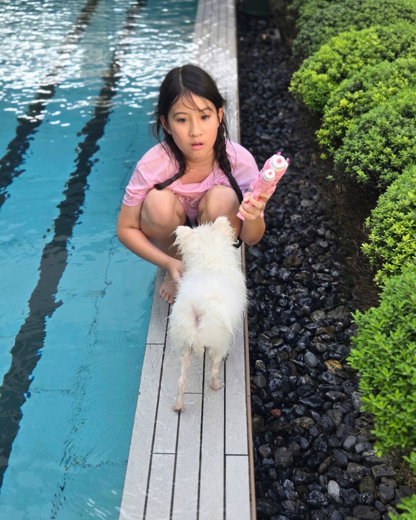 น้องมายู