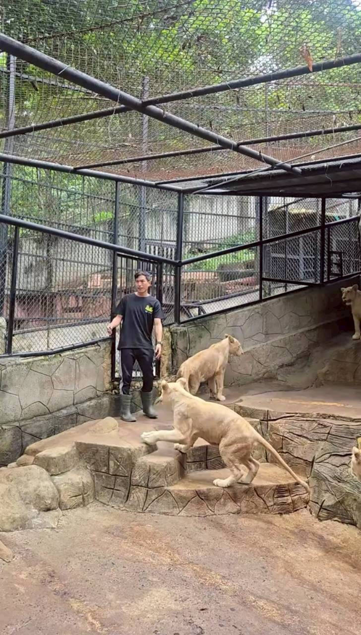 ภูผา เตชะณรงค์