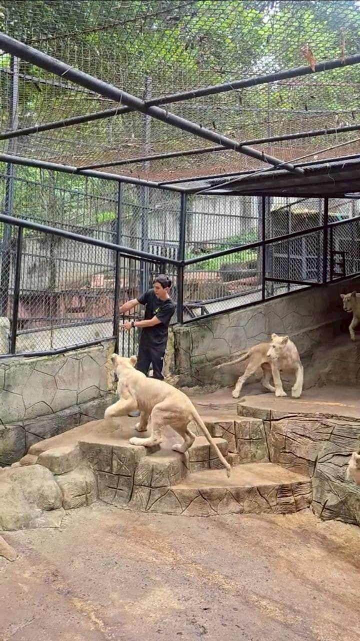 ภูผา เตชะณรงค์