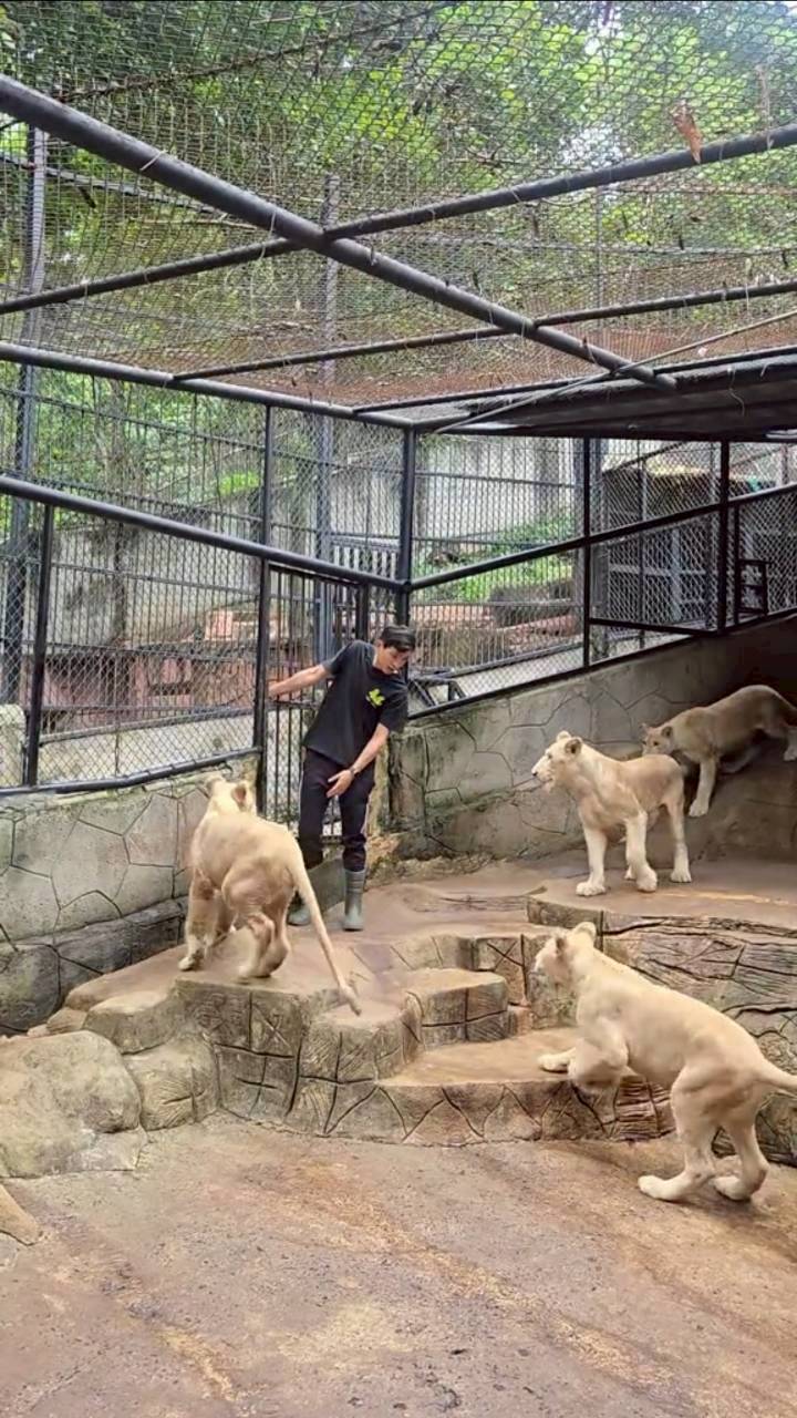 ภูผา เตชะณรงค์