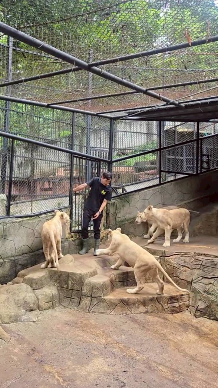 ภูผา เตชะณรงค์