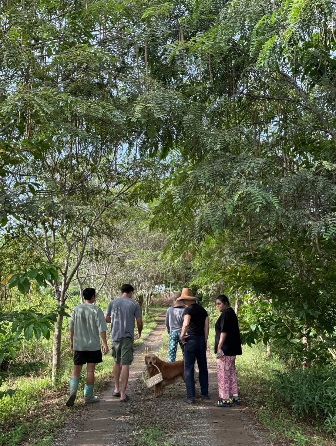 โป๊ป ธนวรรธน์