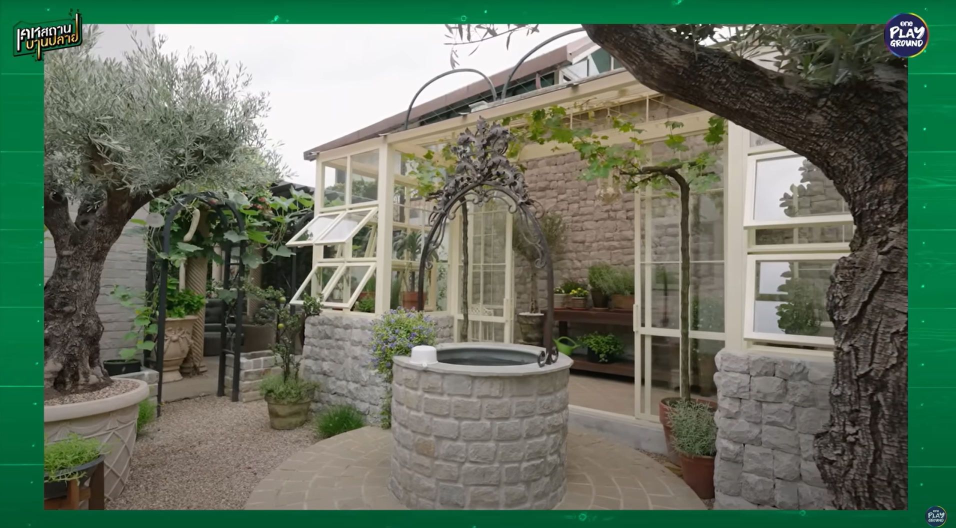 ชมพู่ อารยา