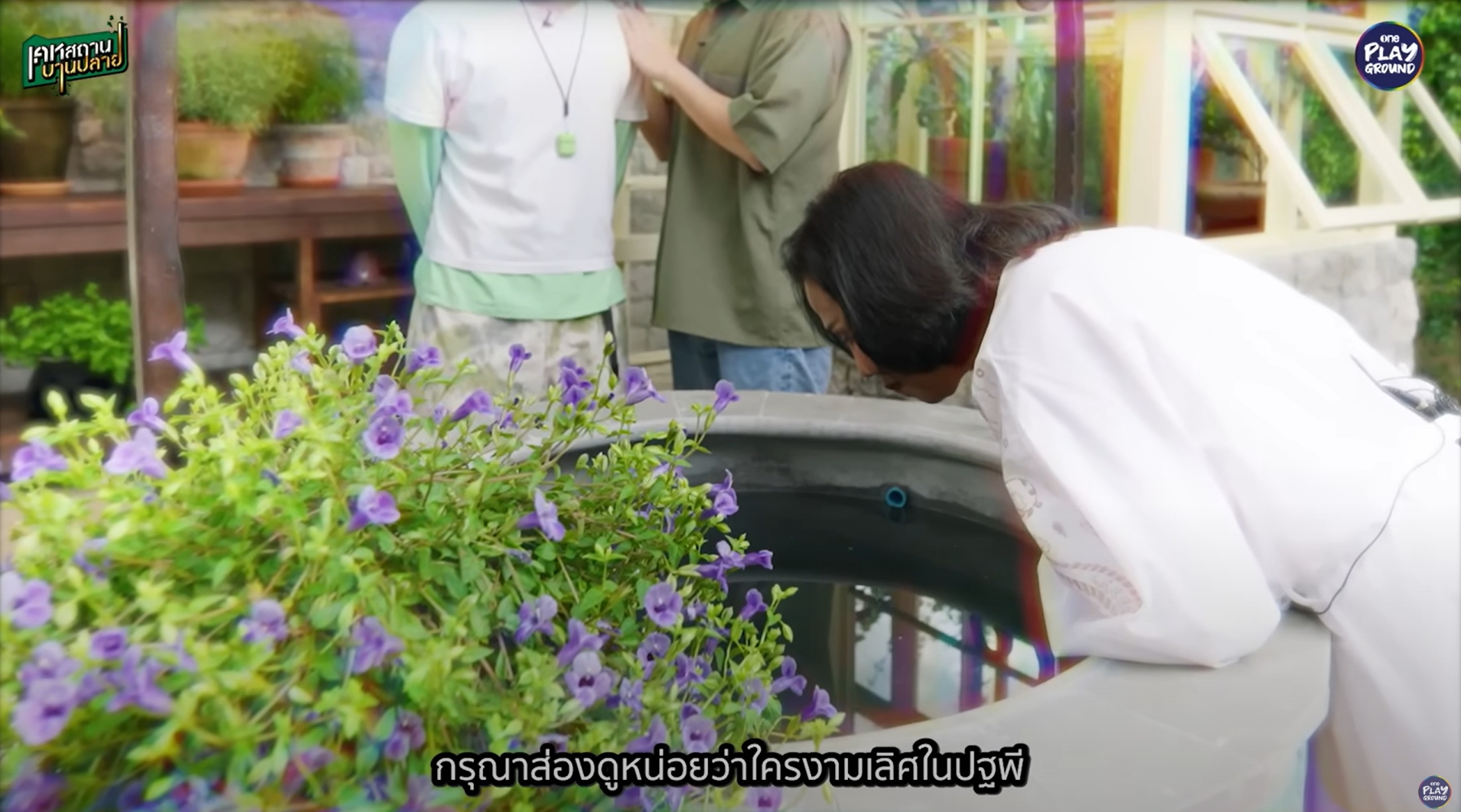 ชมพู่ อารยา