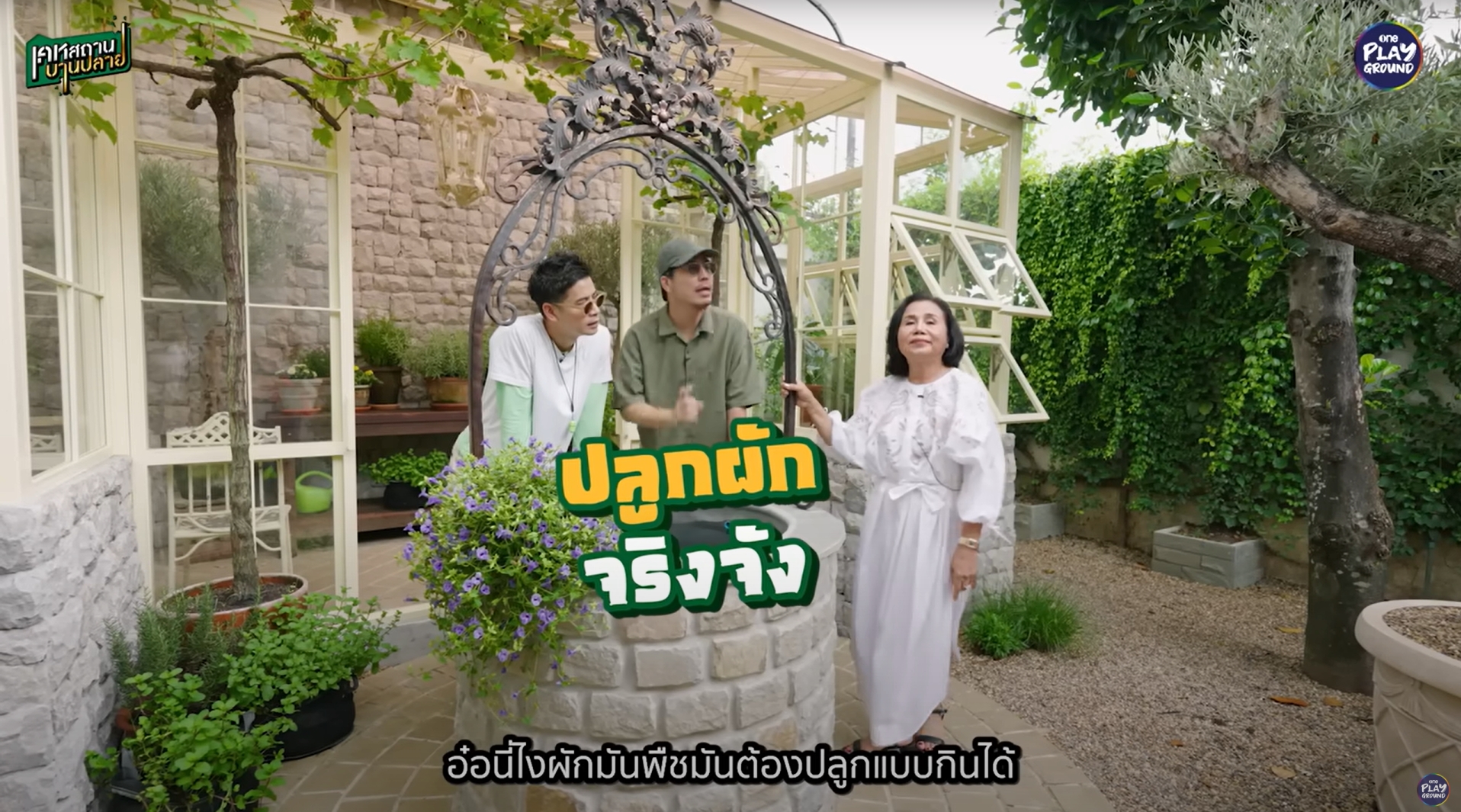 ชมพู่ อารยา