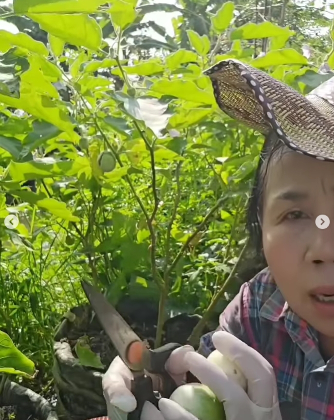 ยายหนิง